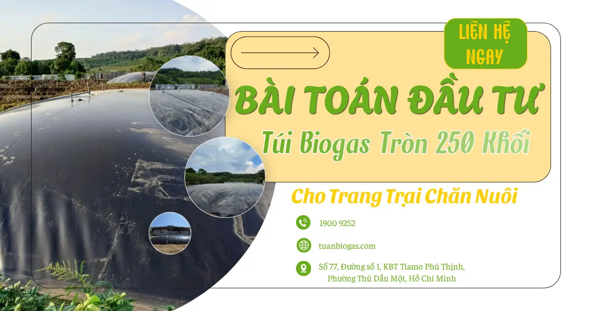 Bài Toán Đầu Tư Túi Biogas Tròn 250 Khối: Lợi Ích Kinh Tế Và Môi Trường Cho Trang Trại